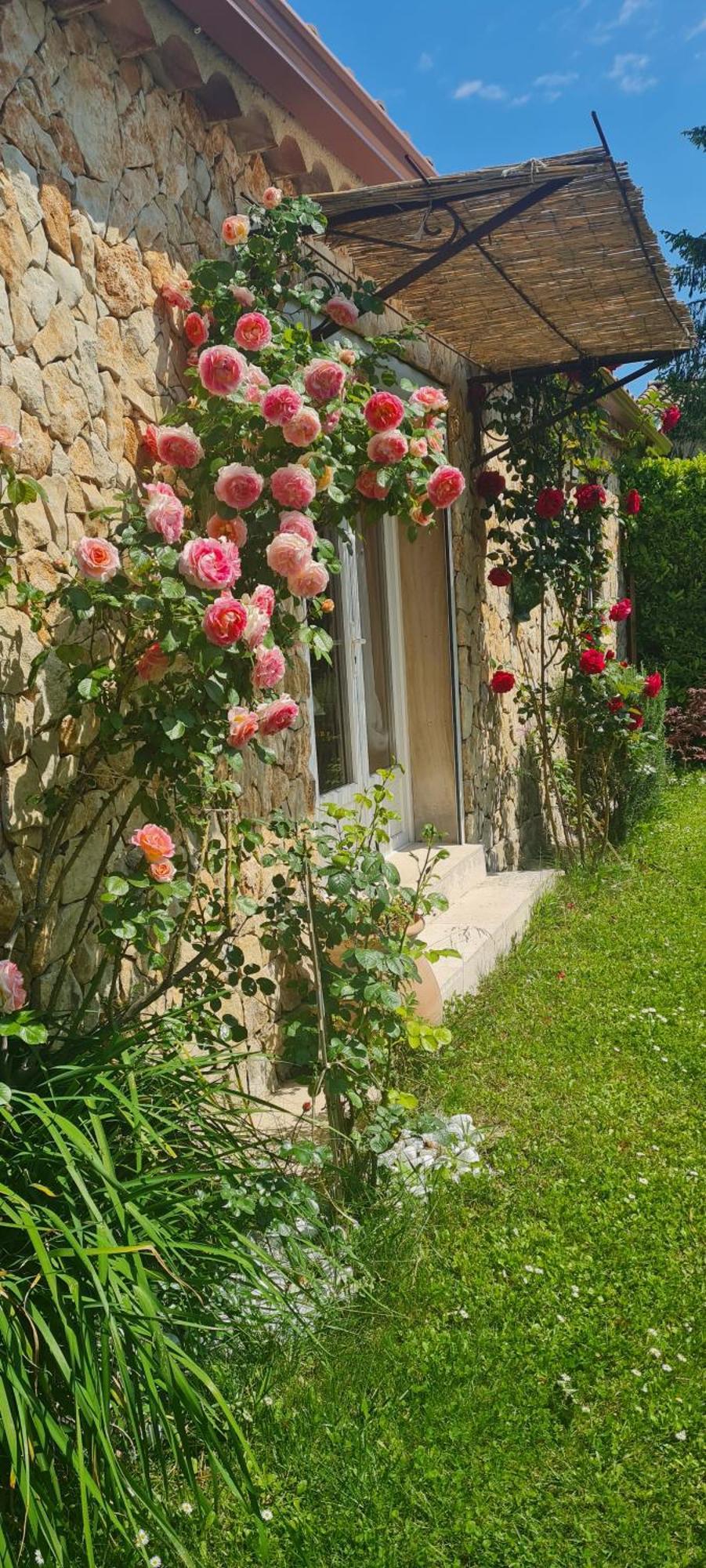 Petit Gite De Provence Mazan Esterno foto